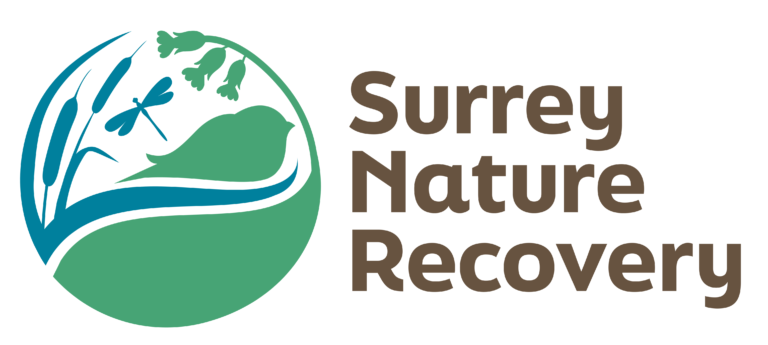 Surrey Nature Recovery